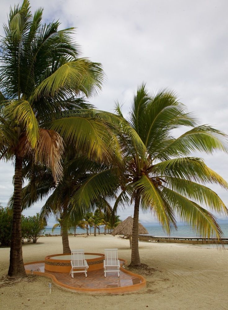 Royal Belize Hotell Thatch Caye Eksteriør bilde