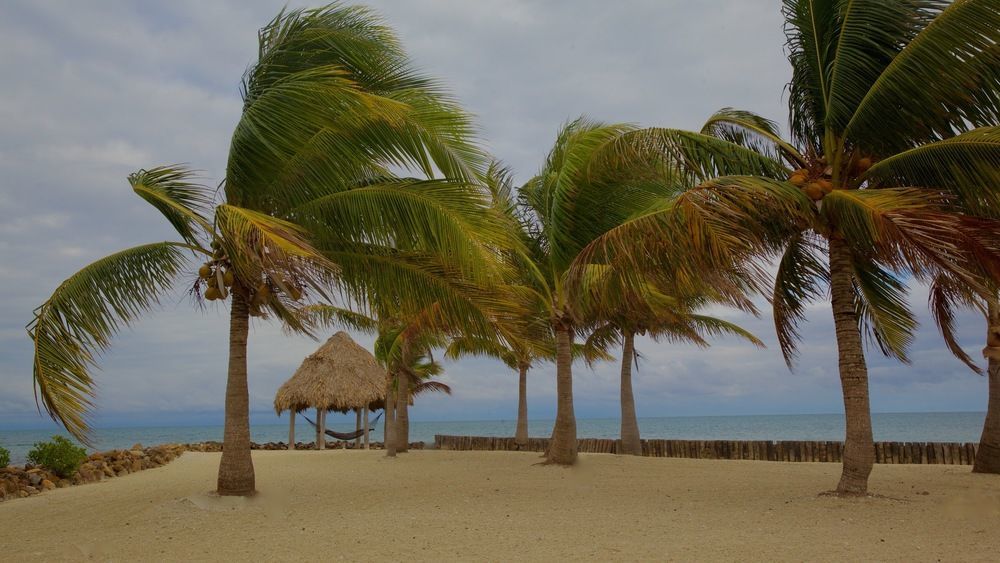 Royal Belize Hotell Thatch Caye Eksteriør bilde