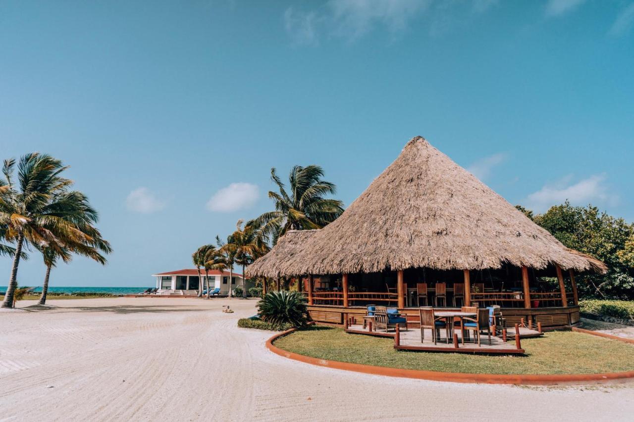 Royal Belize Hotell Thatch Caye Eksteriør bilde