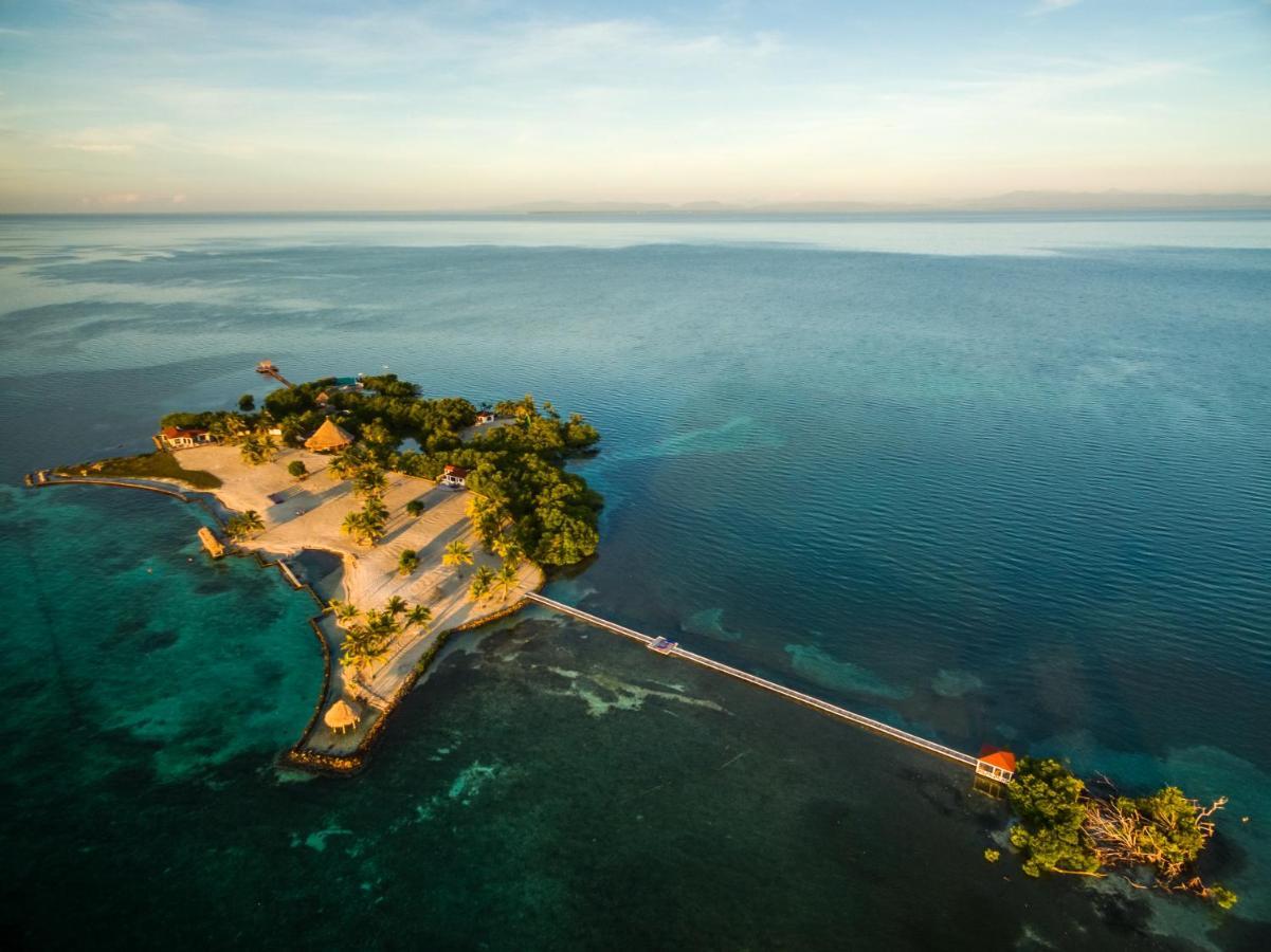 Royal Belize Hotell Thatch Caye Eksteriør bilde